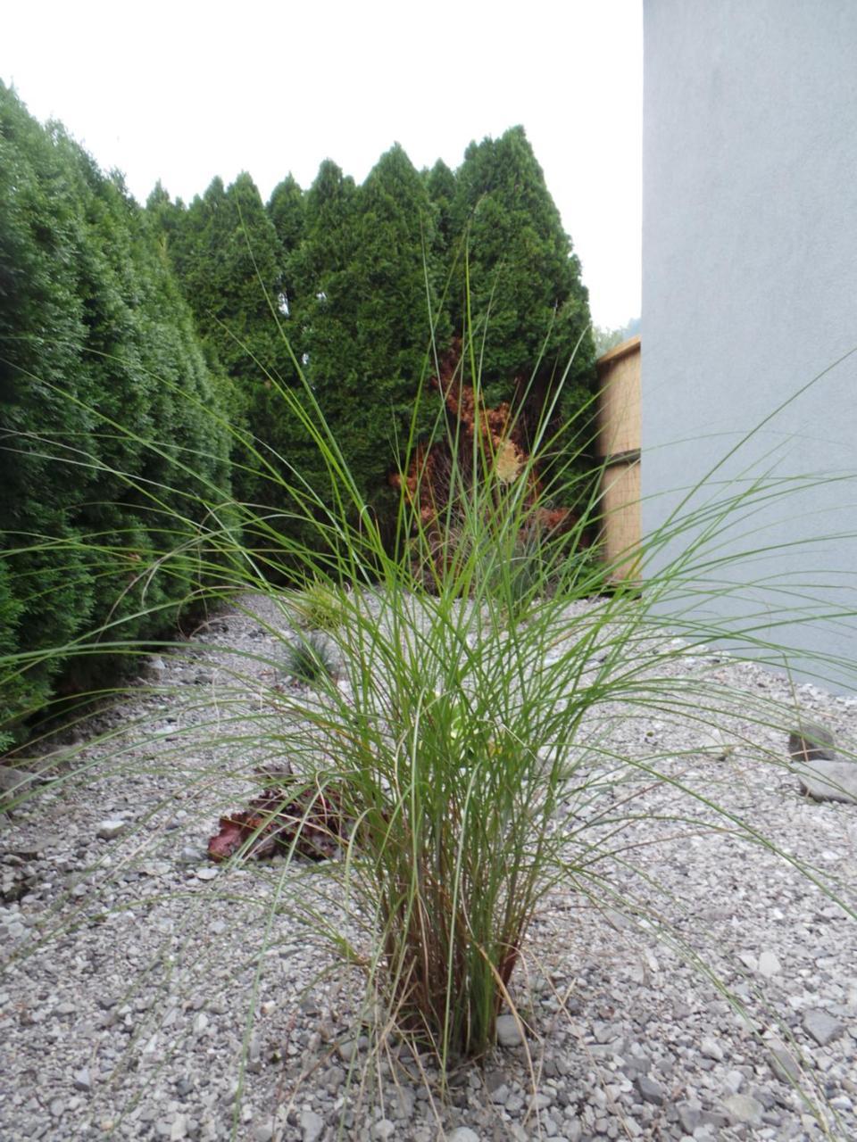 Apartamento Burnout Wildalps Wildalpen Exterior foto